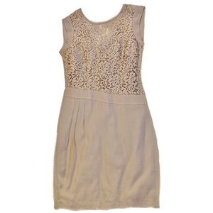 BCBGMaxAzria Lace Bodice Dress (Taupe), SZ 04